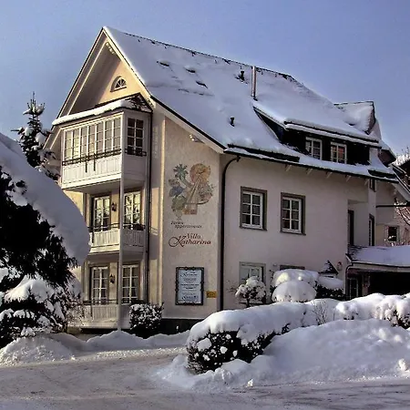 Katharina Penthouse Willingen (Upland)